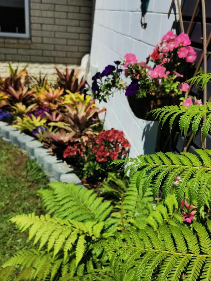 Kerikeri Sunny Modern 2 Bedroom Apartments 外观 照片